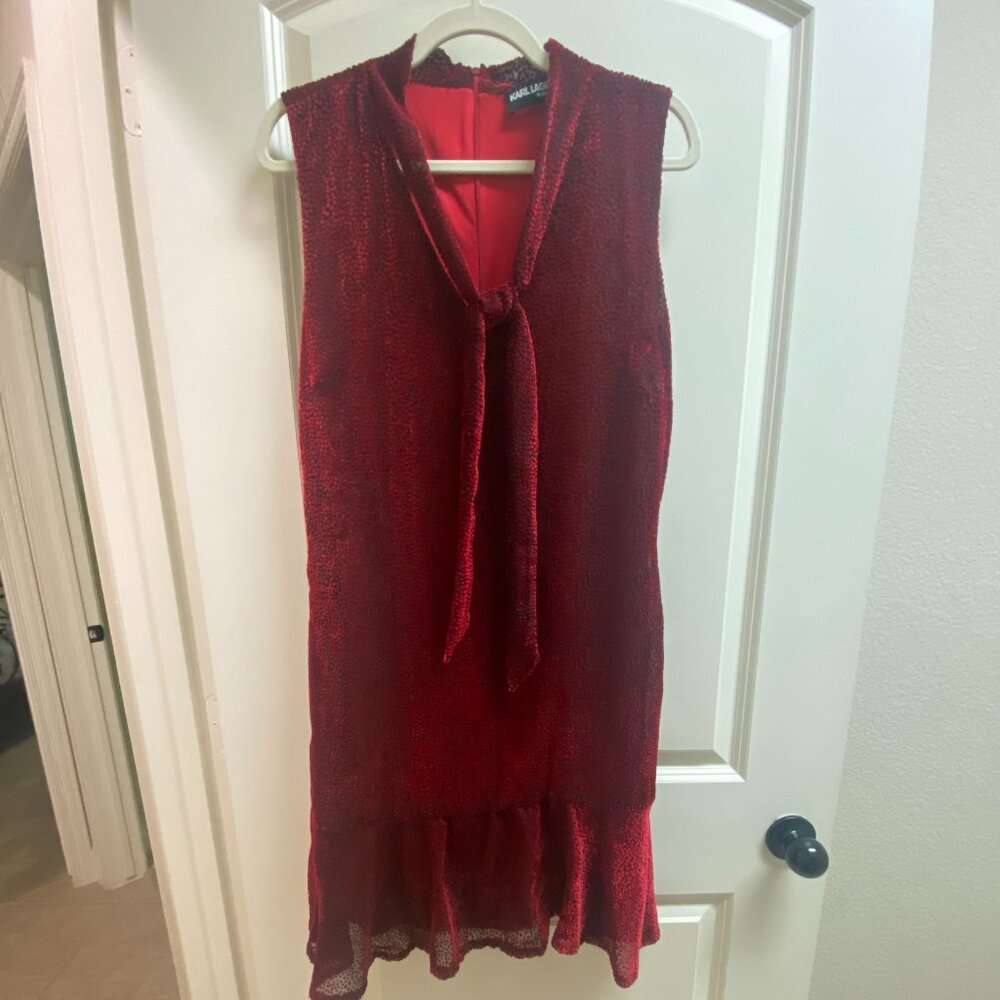 Ladies Red/Black Velvet Dress